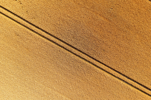 从拖拉机上俯瞰麦田和轨道，农业结构，从上面俯瞰小麦农场图片下载