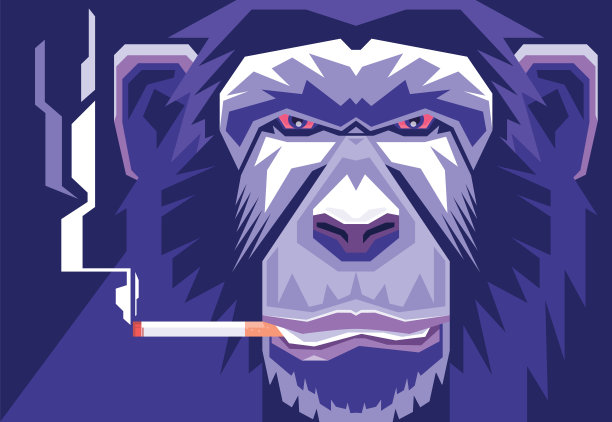 黑猩猩吸烟香烟图片下载