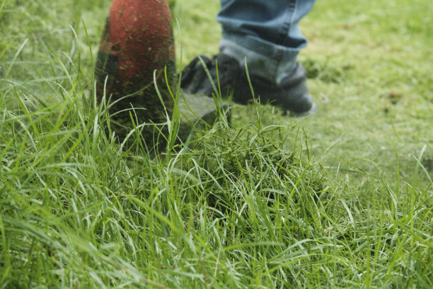 园丁用电动割草机修剪草坪上杂草丛生的草坪。图片下载