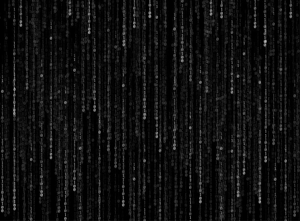 密集编码图片下载