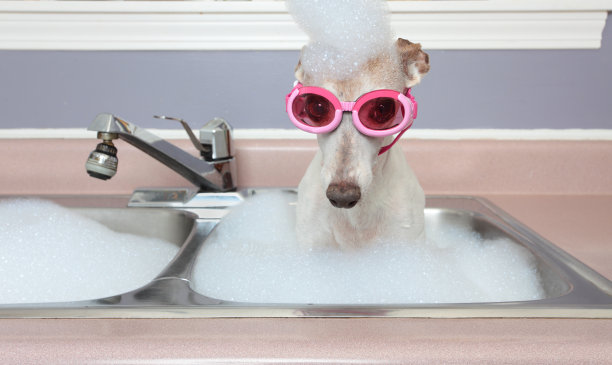 洗澡时间图片下载