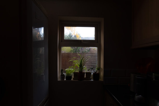从带露台的房子厨房窗户看出去的景色。窗台上有植物图片下载