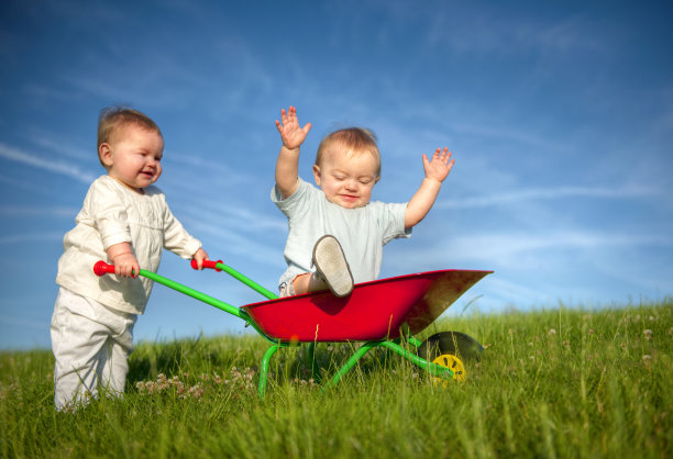 双胞胎婴儿一起玩。图片下载