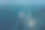 人在海里游泳图片下载