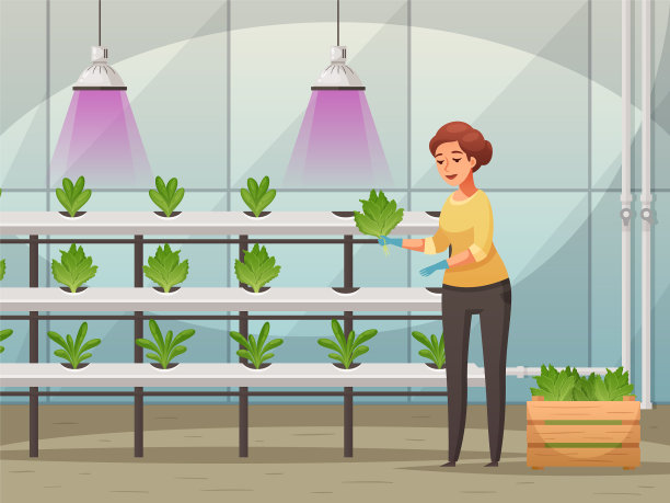 温室农业的背景图片下载