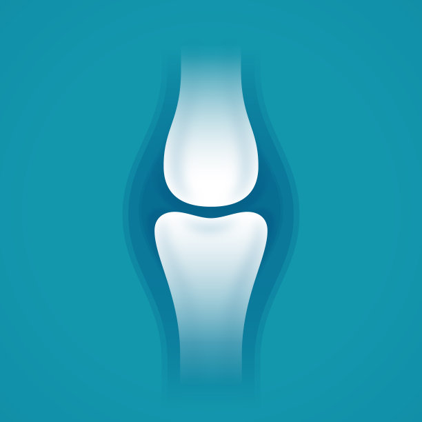 膝关节图片下载