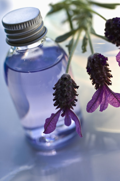 薰衣草温泉图片下载