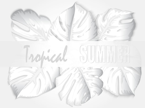 花的热带夏季背景与怪物的叶子。夏季热带叶背景与外来棕榈叶。党传单模板。书法刻字。销售横幅，海报与棕榈叶，丛林叶和手写字母。图片下载