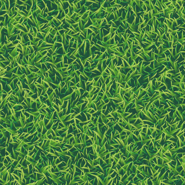 绿草逼真的纹理背景，俯视图图片下载