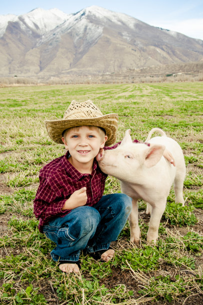 男孩和宠物猪图片下载