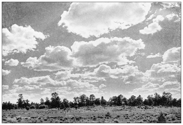大峡谷的古董旅行照片图片下载