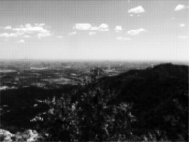 黑白半色调风格自然景观单色背景图片下载