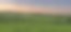 印度尼西亚一个阳光明媚的夏日早晨，一片广阔的绿色稻田的全景照片图片下载
