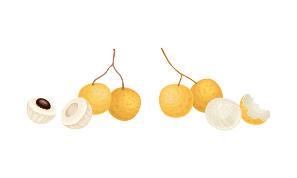 龙眼水果集整片和切片热带水果图片下载