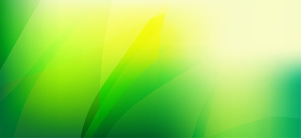 光滑的绿色抽象背景图片下载