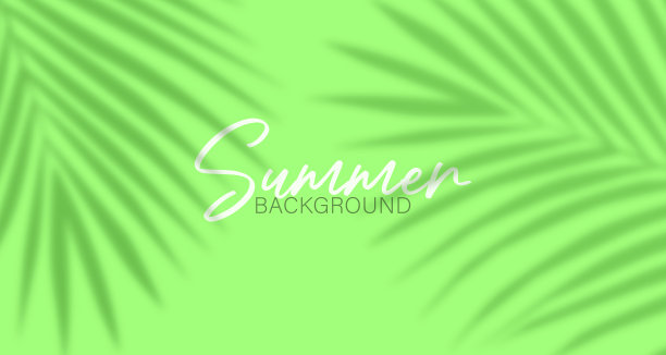 棕榈叶的阴影在充满活力的色彩背景。模型与棕榈叶阴影图片下载