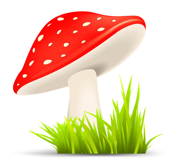 蘑菇卡通图片下载