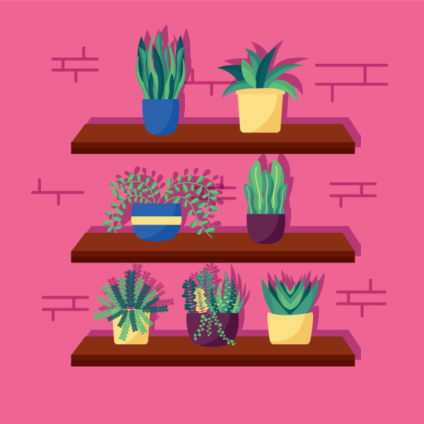 室内植物装饰设计图片下载