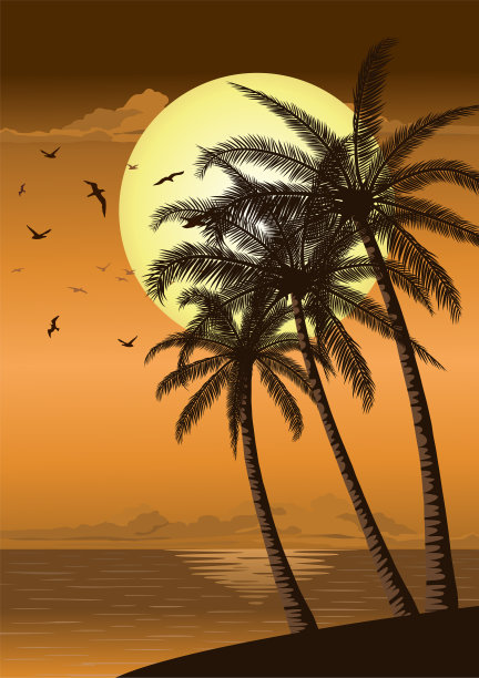 日落日出与海滩棕榈树的海洋岛图片下载