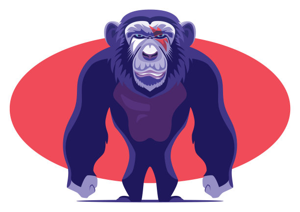 黑猩猩的性格图片下载