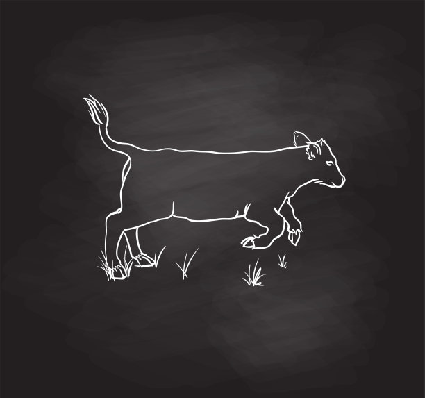 小跑牛图片下载