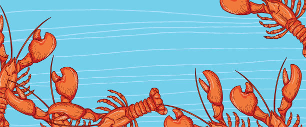 新鲜海鲜狭窄的旗帜社交媒体-龙虾图片下载