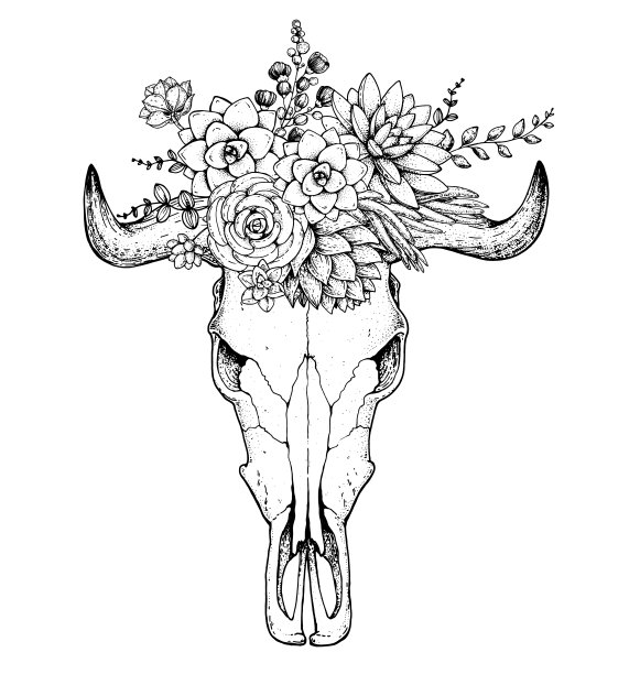 水牛头骨和鲜花手绘插图。蛮荒的美国西部。矢量插图。纹身的打印。水牛头骨和花束。t恤的设计。图片下载