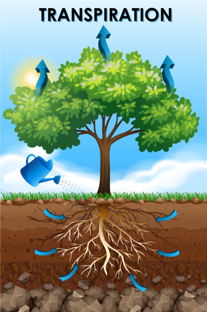 蒸腾的科学海报设计图片下载