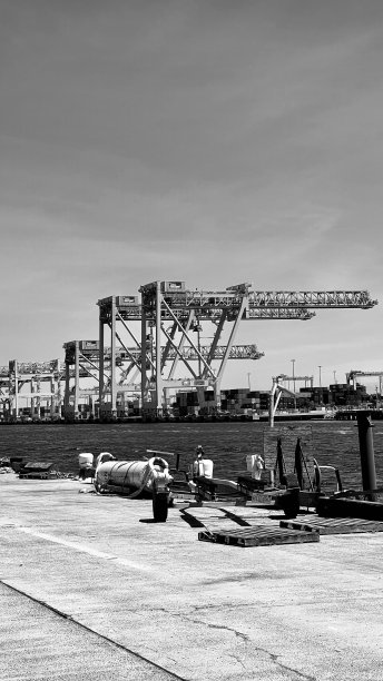 6月一个阳光明媚的日子，马萨诸塞州波士顿海港的黑白照片，大型起重机正在运输集装箱图片下载