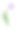 水彩紫罗兰郁金香花卉插图图片下载