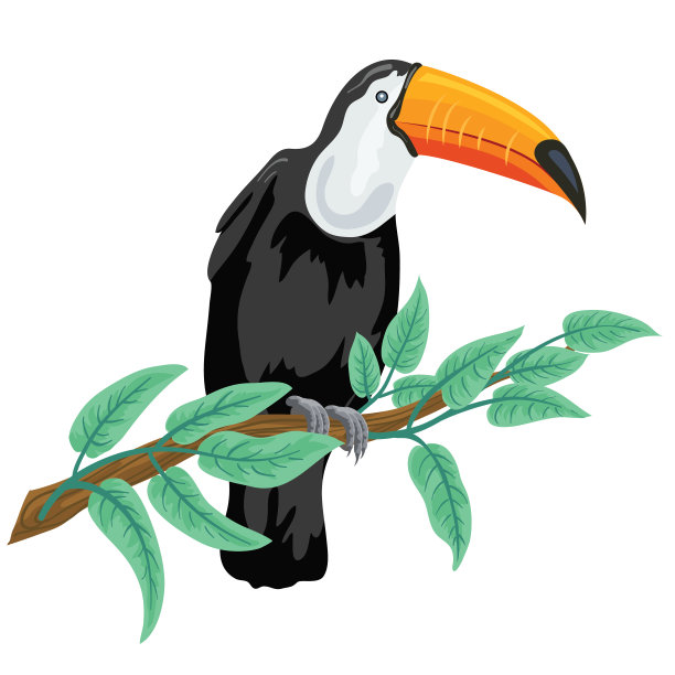 可爱的卡通巨嘴鸟栖息在树枝上图片下载