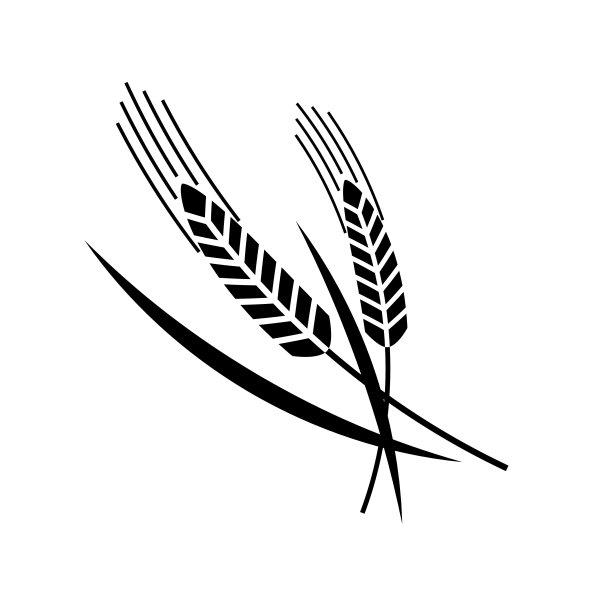 小麦设计元素图片下载