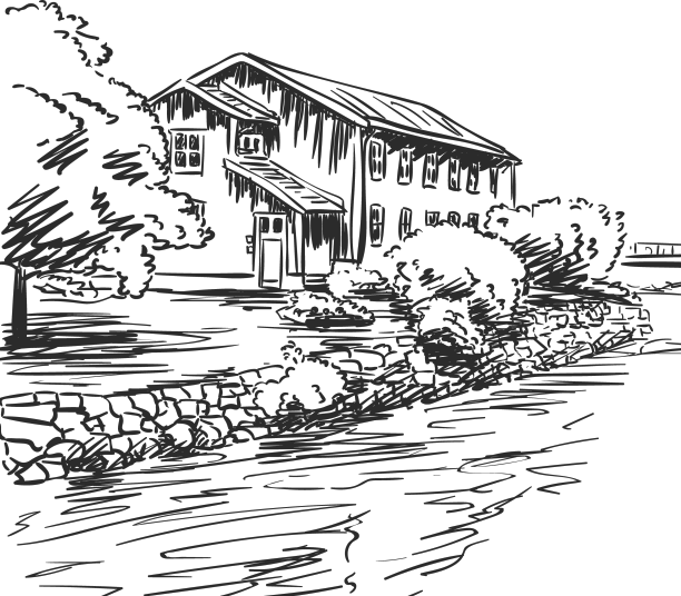 房子被灌木丛和树木包围着图片下载