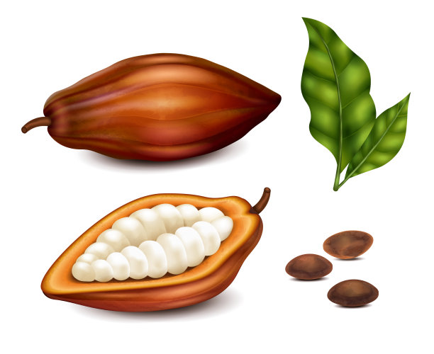 逼真的可可套装图片下载