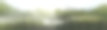 云雾缭绕的松林山全景图片下载
