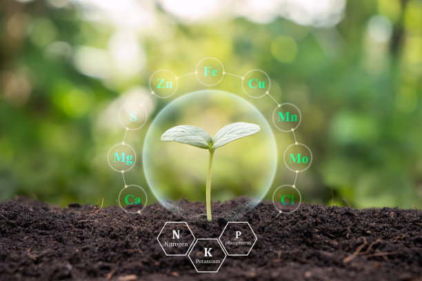 树木生长在土壤与植物生长因子图标生态概念地球日卡保护环境。图片下载