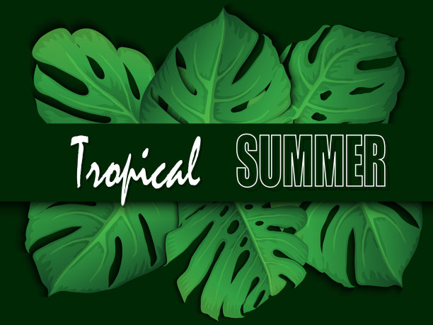 花的热带夏季背景与怪物的叶子。夏季热带叶背景与外来棕榈叶。党传单模板。书法刻字。销售横幅，海报与棕榈叶，丛林叶和手写字母。图片下载