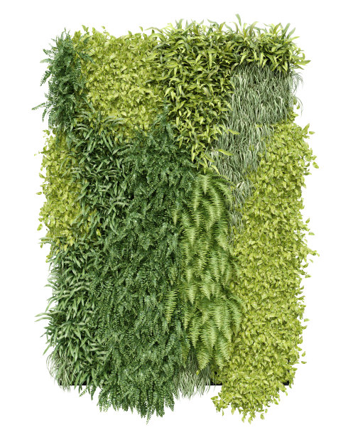 逼真的垂直花园。图片下载