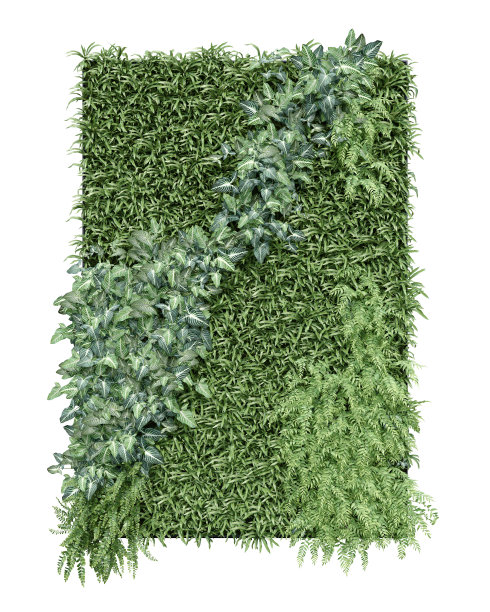 逼真的垂直花园。图片下载