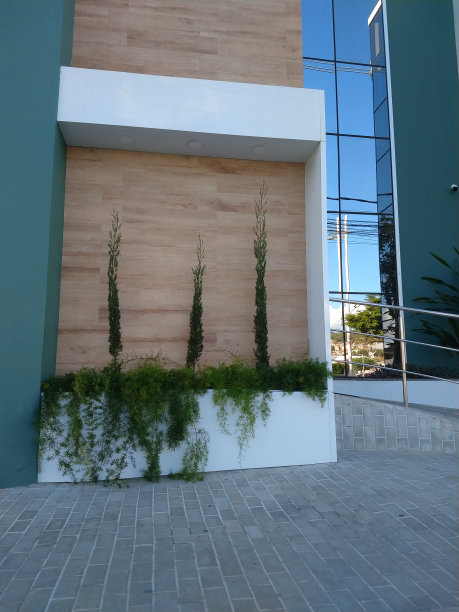 建立前图片下载