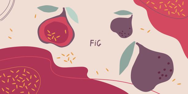 抽象背景上的无花果。食用新鲜的农场水果。原料烹饪。平面设计菜单，咖啡馆，餐厅，旗帜，徽章，贴纸，食谱设计。用于包装果汁或酱汁图片下载