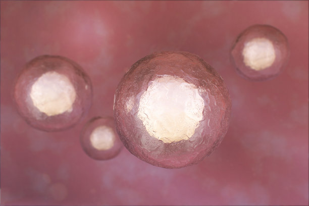 干细胞的详细图像图片下载
