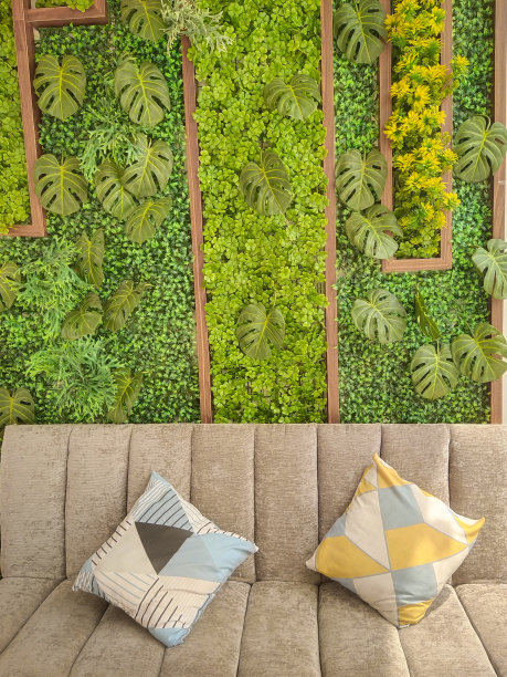 用真正的树叶做的墙纸图片下载