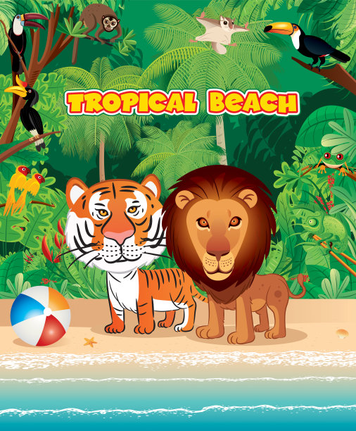 海滩和大猫图片下载