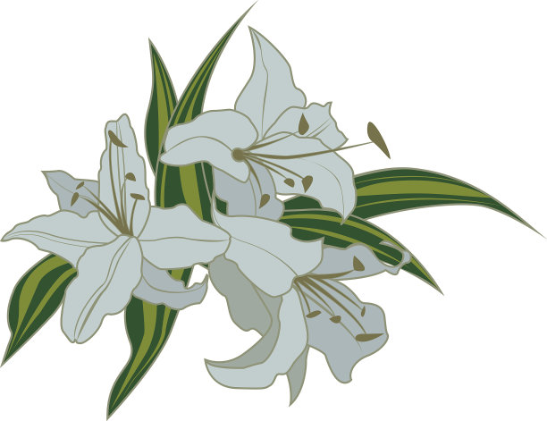 花朵的花束图片下载