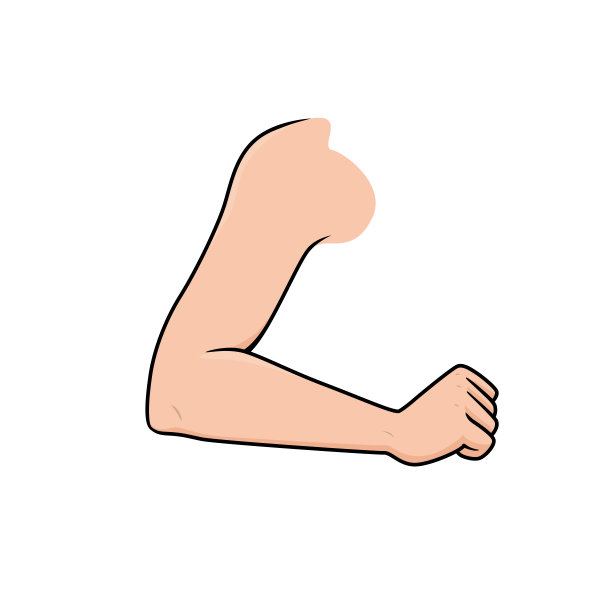 彩色矢量插图的儿童活动彩色书页与图片的橙色肘。图片下载