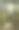 古植物学插图:斯里兰卡森林图片下载