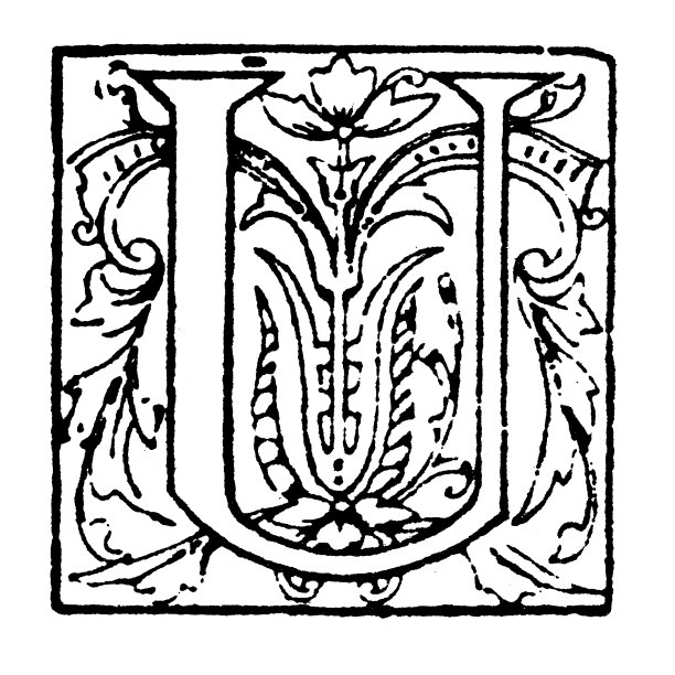 仿古华丽的大写字母U图片下载