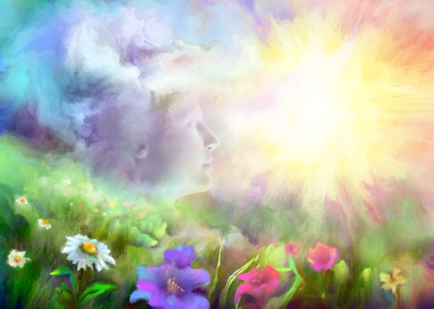 春天开花的草地图片下载