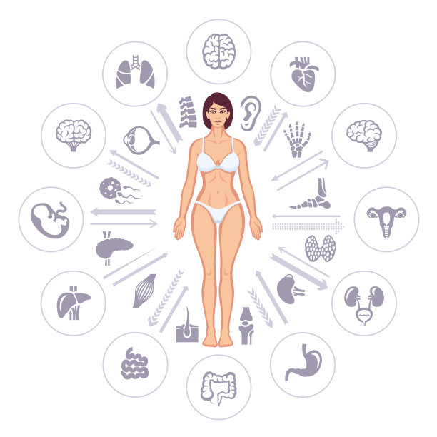 人类健康信息图表元素图片下载